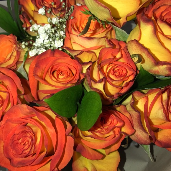 Meet your Posher, Larissa - Picture 1 of 1